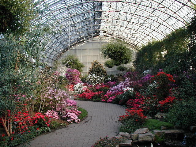 ChihulyGarfieldP1-P1010017