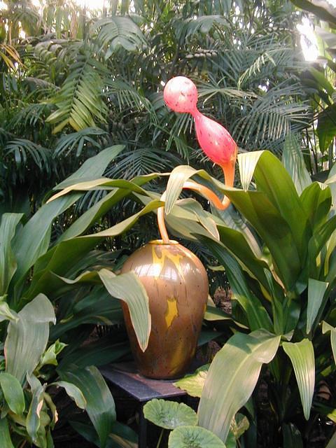 ChihulyGarfieldP2-P1010004