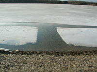 Blue Marsh Park Feb 2004