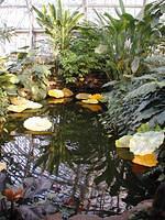 ChihulyGarfieldP1-P1010019